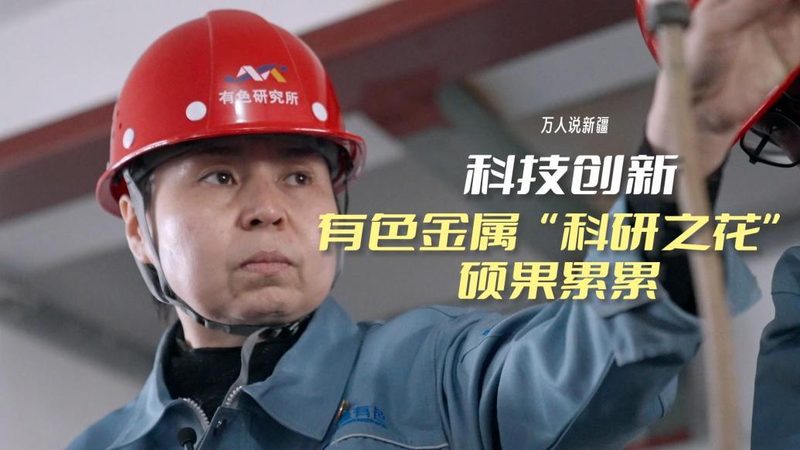 政府数据安全事件处理规范：关键步骤与应对策略